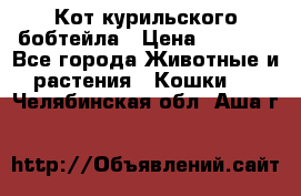 Кот курильского бобтейла › Цена ­ 5 000 - Все города Животные и растения » Кошки   . Челябинская обл.,Аша г.